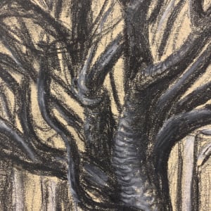 On Central Ave., Alameda, CA by Frank J Bette 