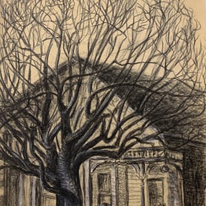 On Central Ave., Alameda, CA by Frank J Bette 