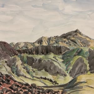 Red Bush Black Peak by Frank J Bette 