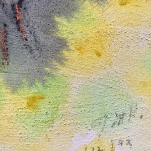 "Trees and Bulls" by Jack Hooper 