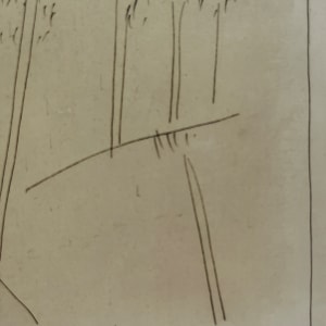 "Tree Landscape Line Drawing" by Jack Hooper 