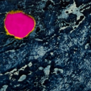 1960s Blue & Pink  Collage Intaglio Etching NY Artist Myril Adler by Myril Adler 
