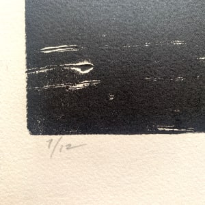 "Newton" by Mark Luca 