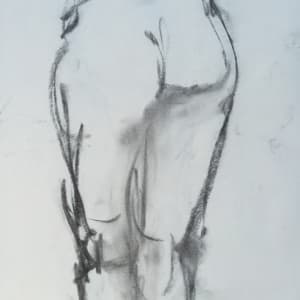 Female Nude Charcoal Drawing 2 by Unsigned 