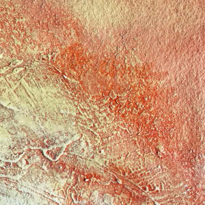 Sunshine by Patricia Zippin 