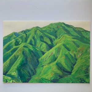 "Green Mountain Big Sur" by Gordon  Pagnello 