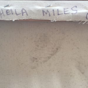 From out of the Land Series by Sheila Miles 