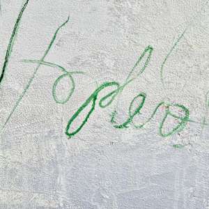 Schneeglöckchen by T0M0 