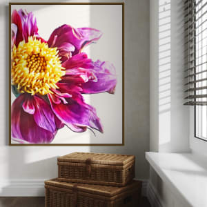 Twilight Peony by Mica Hoberg 