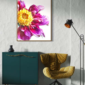 Twilight Peony by Mica Hoberg 