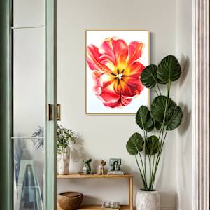 TulipWonder by Mica Hoberg 