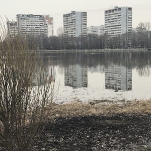 PAIN / БОЛЬ by STUDIO RIOT 