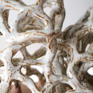 Erosion Study by Emma Sher 