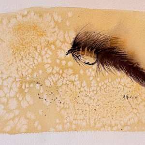 Water color Fly by Moni Moka