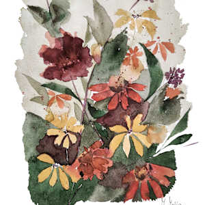 Mutisia by Moni Moka