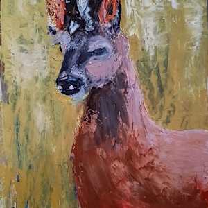 Pause in the Forest. by Moni Moka