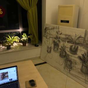 Houseplants in China by Marianne Wilson 