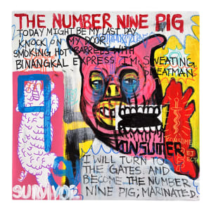 The Number Nine Pig by DMR