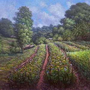 Highland Bloom by Jhon Paul Alivio