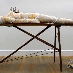 Beyond Indifference by Shelby Head