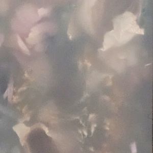 Executive Order 14161: Protecting the United States from Foreign Terrorists and Other National Security and Public Safety Threats by Shelby Head 