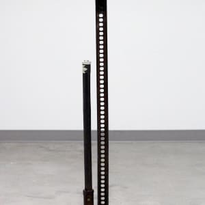 Independent of Sex by Shelby Head  Image: Independent of Sex