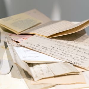 05. Beyond the Whitewash Exhibition July 7, 2023 by Shelby Head  Image: Detail, Papered Over