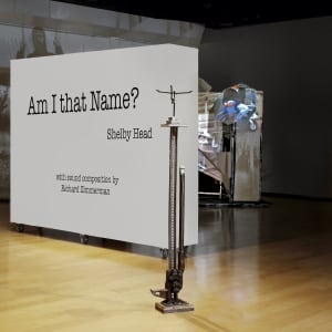 10. Am I that Name?, September 22, 2022, Melton Gallery exhibition video, duration: 1:25 by Shelby Head 