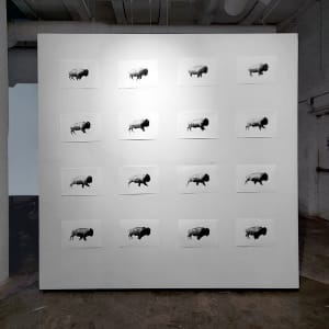 05. Beyond the Whitewash Exhibition July 7, 2023 by Shelby Head  Image: Then Your Prairies Can Be Covered With Speckled Cattle 1-16, Joel Daniel Phillips