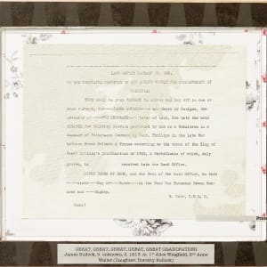 The Wall by Shelby Head  Image: Back of title frame