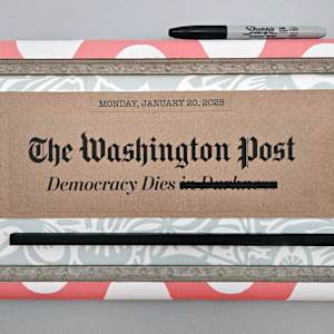 Democracy Dies by Shelby Head