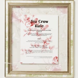 Dark Wall by Shelby Head  Image: Jim Crow Rule, 18.5"x16"