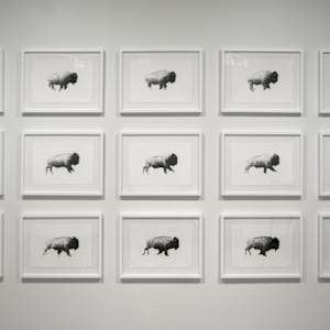 Then Your Prairies Can Be Covered With Speckled Cattle 1-16, Joel Daniel Phillips by Shelby Head