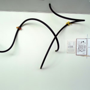 Interplay: Exhibition by Shelby Head 