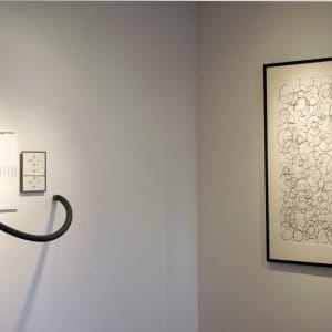 Interplay: Exhibition by Shelby Head 