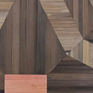 Guided Home by Sarah Barone Schwartz, Image 3.