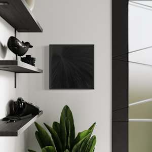 Radiance-Black-Noir-3 by Sarah Barone Schwartz 