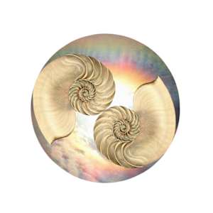 HARMONY by MYSTIC MAMMA | Mijanou Montealegre