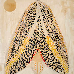 Sphinx Moth by Meghan DeRoma