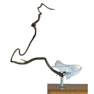 Moon Horse by Clyde Corley
