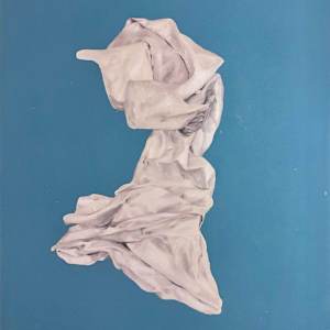 Disposition by Jenny Schoensiegal