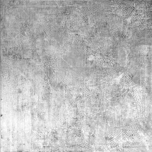 White Paths by Maria Mimma Scarpini