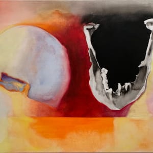 Plinius The Elder's skull by Maria Mimma Scarpini