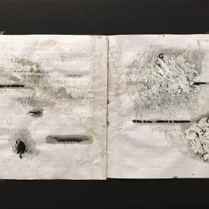 Book 1 by Maria Mimma Scarpini