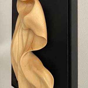 Life's undulating Journey by Tania Hungerford 