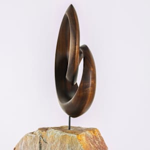 Möbius Meditations by Tania Hungerford-Gerth 