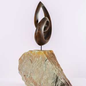 Möbius Meditations by Tania Hungerford-Gerth 