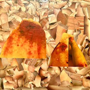 American Pelt IV by Jeannie N. Hua