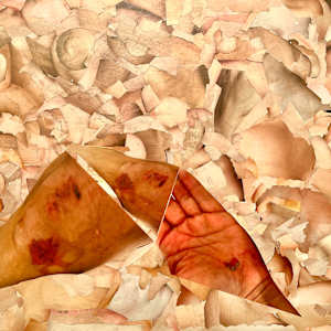 American Pelt I by Jeannie N. Hua