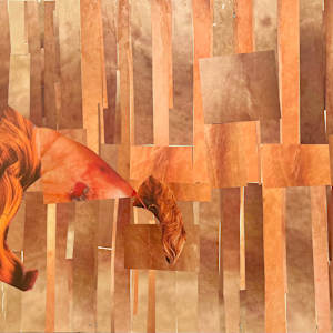 American Pelt III by Jeannie N. Hua